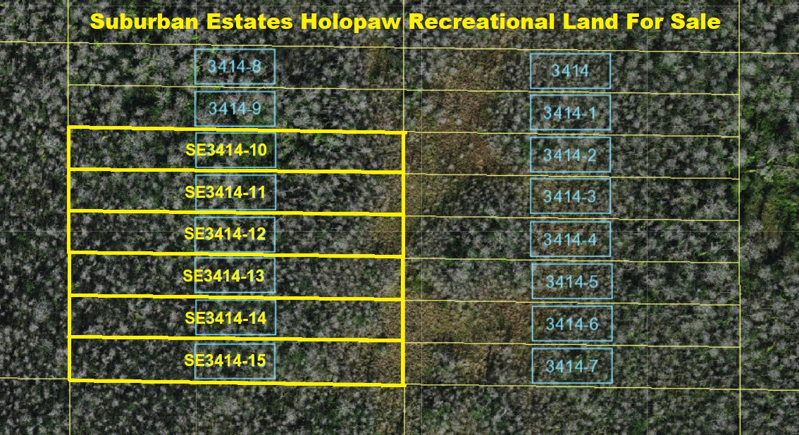 Florida Recreational Land For Sale Suburban Estates Holopaw