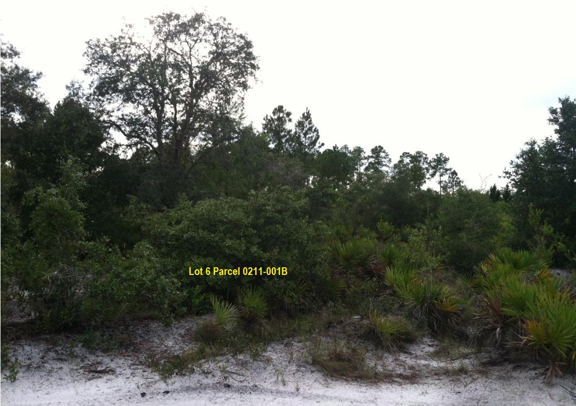 Suburban Estates Holopaw Florida Recreational Land for sale