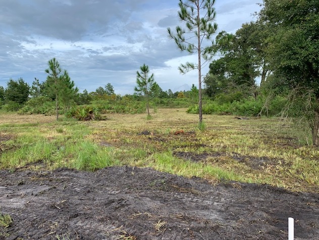 Suburban Estates Holopaw Florida South Beach Land for sale