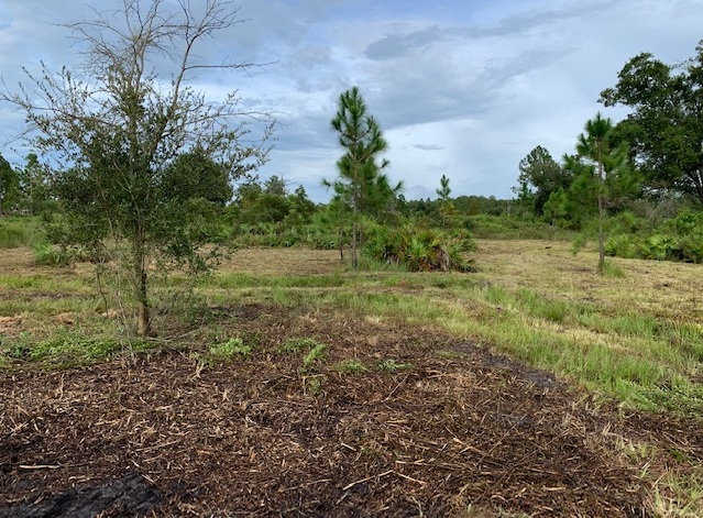 Suburban Estates Holopaw Florida South Beach Land for sale