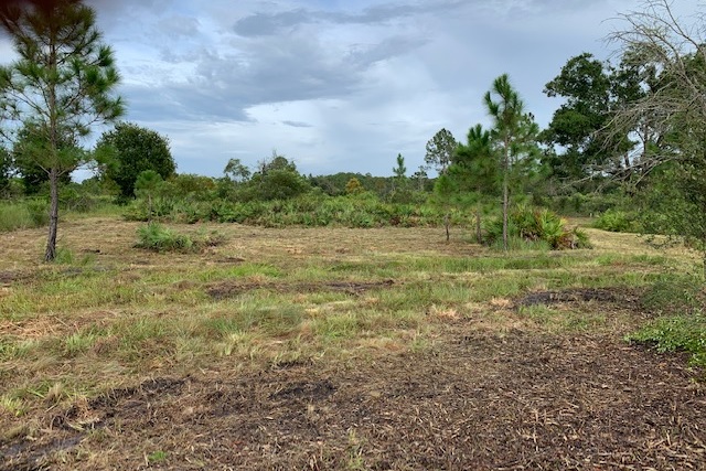 Suburban Estates Holopaw Florida South Beach Land for sale