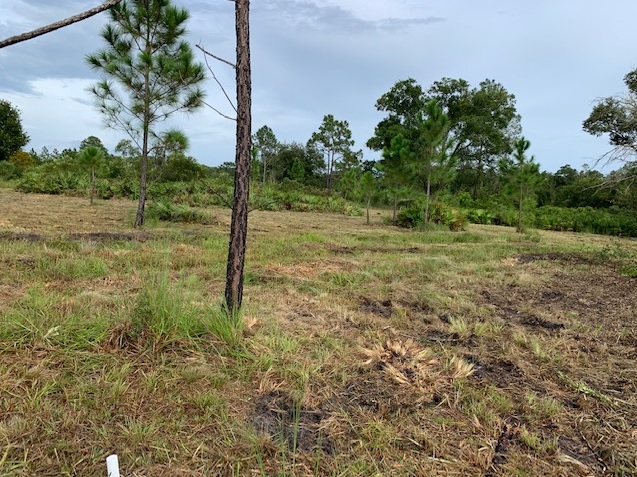 Suburban Estates Holopaw Florida South Beach Land for sale