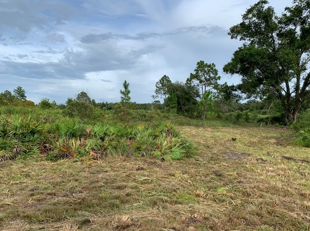 Suburban Estates Holopaw Florida South Beach Land for sale