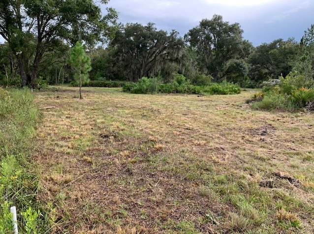 Suburban Estates Holopaw Florida South Beach Land for sale