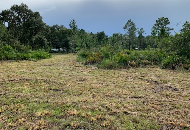 Suburban Estates Holopaw Florida South Beach Land for sale