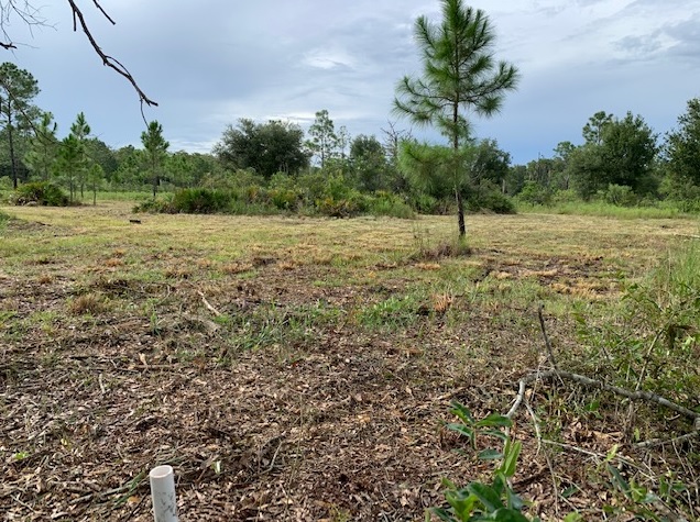 Suburban Estates Holopaw Florida South Beach Land for sale