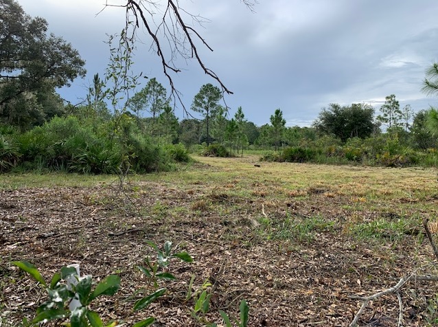 Suburban Estates Holopaw Florida South Beach Land for sale