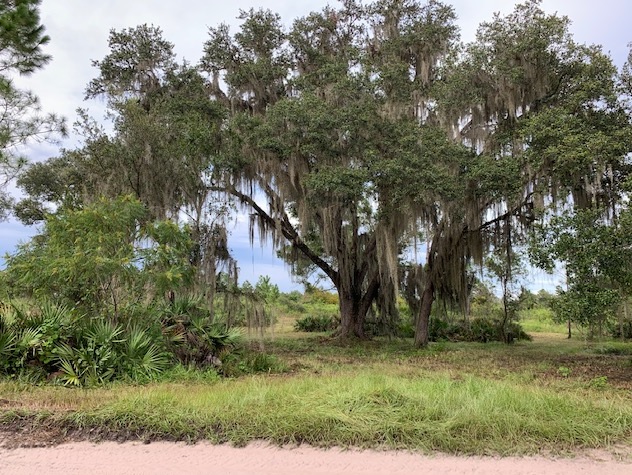 Florida Recreational Land Camping Atving Lots For Sale off roading Suburban Estates Holopaw