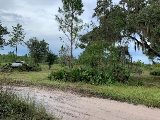 Florida Recreational Land Camping Atving Lots For Sale off roading Suburban Estates Holopaw