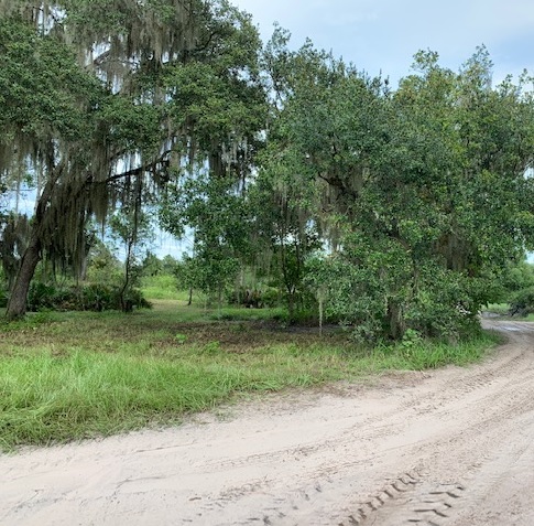 Florida Recreational Land Camping Atving Lots For Sale off roading Suburban Estates Holopaw