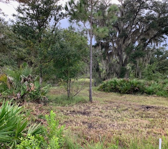Florida Recreational Land Camping Atving Lots For Sale off roading Suburban Estates Holopaw