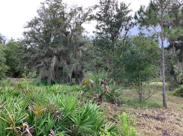 Florida Recreational Land Camping Atving Lots For Sale off roading Suburban Estates Holopaw