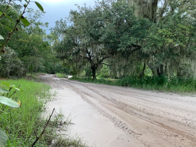 Florida Recreational Land Camping Atving Lots For Sale off roading Suburban Estates Holopaw