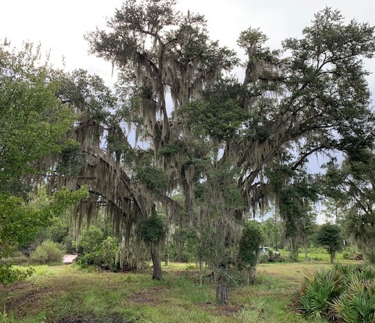 Florida Recreational Land Camping Atving Lots For Sale off roading Suburban Estates Holopaw