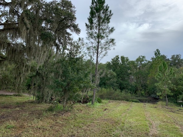 Florida Recreational Land Camping Atving Lots For Sale off roading Suburban Estates Holopaw