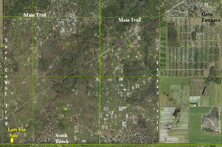 Suburban Estates South Beach Atving Camping Holopaw Florida