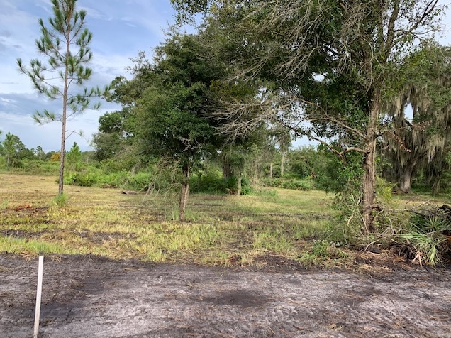 Suburban Estates Holopaw Florida Lots For Sale