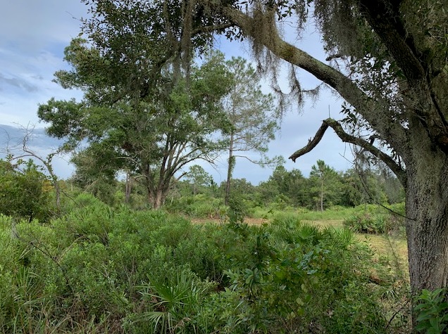 Suburban Estates Holopaw Florida Lots For Sale