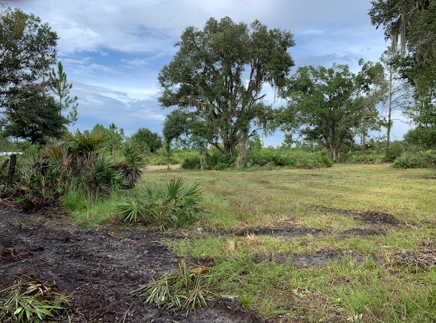 Suburban Estates Holopaw Florida Lots For Sale