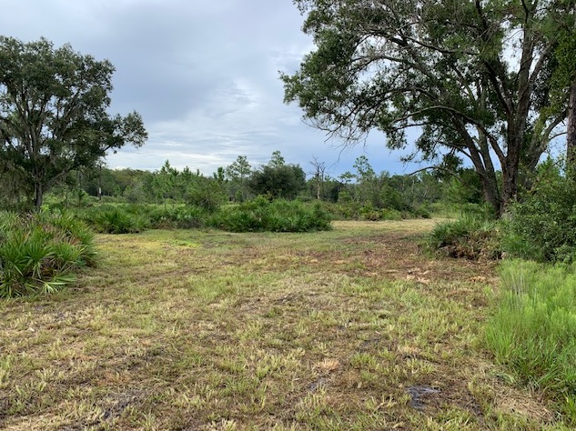Suburban Estates Holopaw Florida Lots For Sale