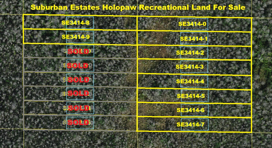 Florida Recreational Land For Sale Suburban Estates Holopaw