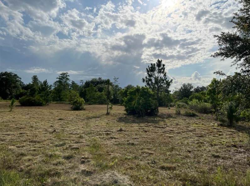 Florida Recreational Land For Sale Suburban Estates Holopaw Camp