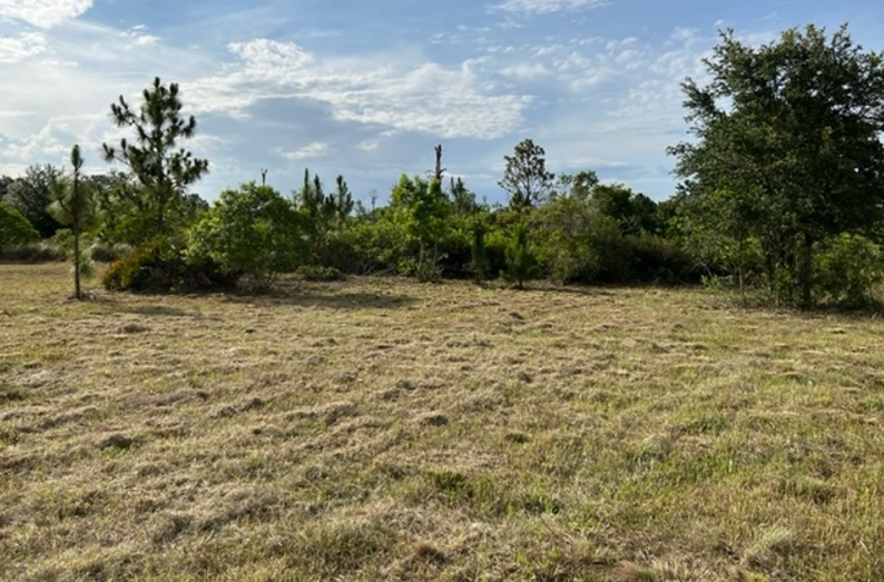 Florida Recreational Land For Sale Suburban Estates Holopaw Camp