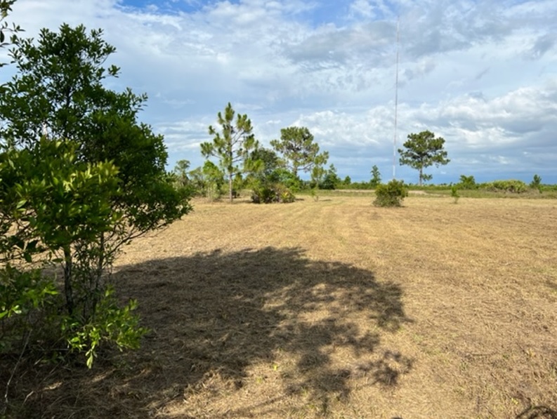 Florida Recreational Land For Sale Suburban Estates Holopaw Camp