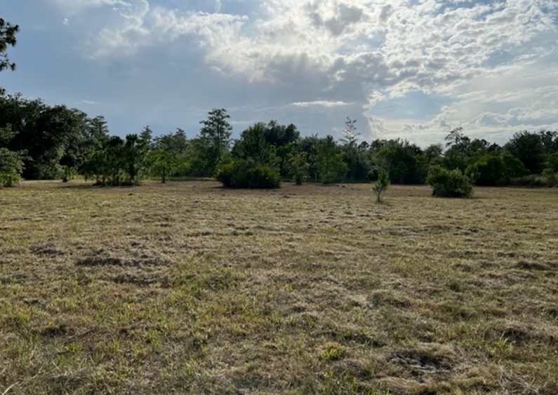 Suburban Estates Holopaw Florida Camp atv off roading