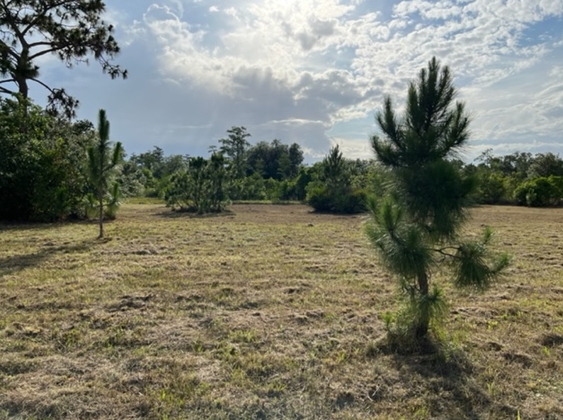 Suburban Estates Holopaw Florida Camp atv off roading