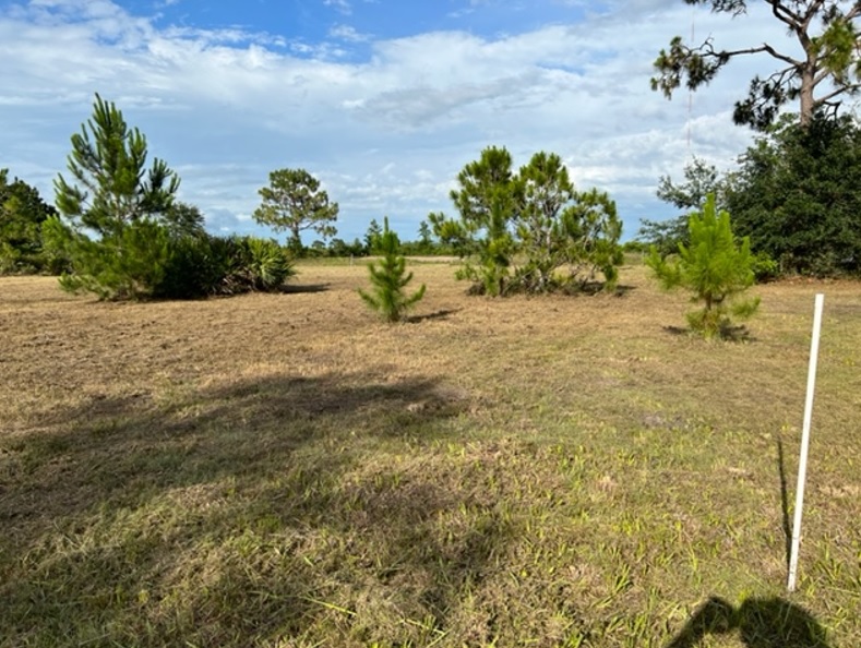 Suburban Estates Holopaw Florida Camp atv off roading