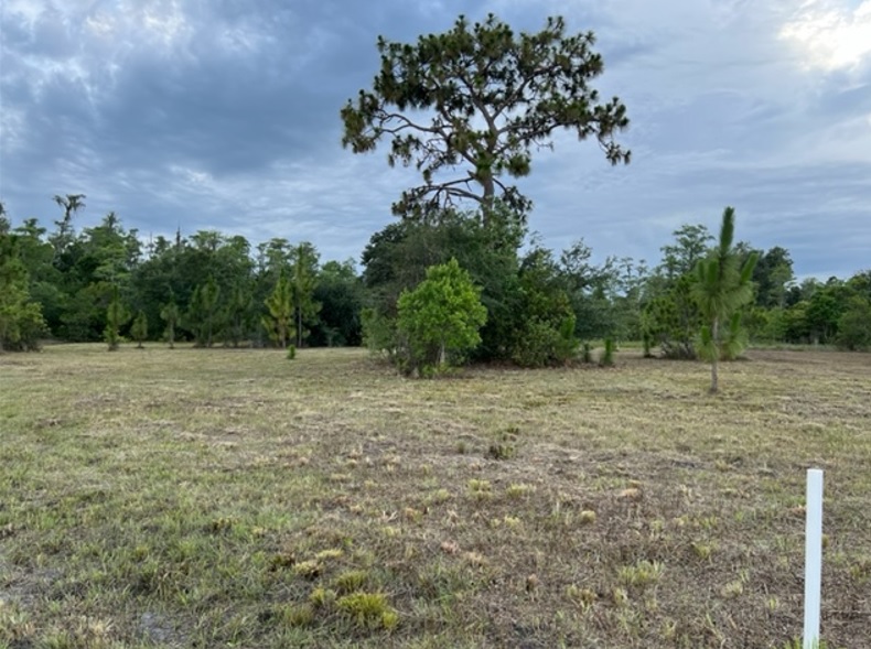 Suburban Estates Holopaw Florida Recreational 4x4 jeep Land for sale