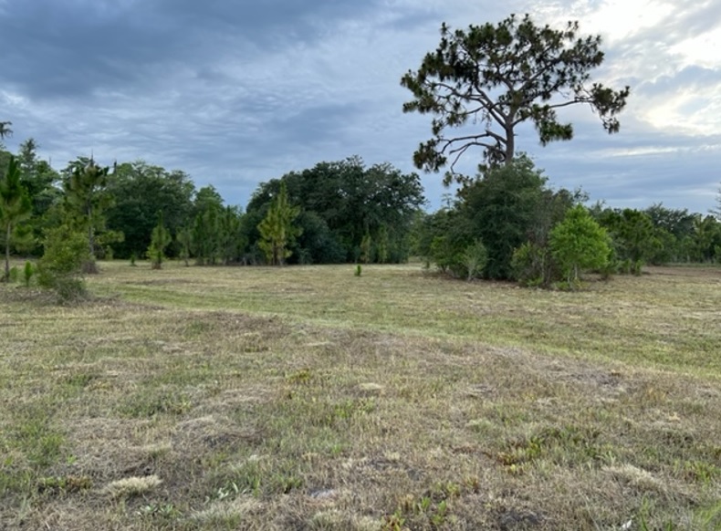 Suburban Estates Holopaw Florida Recreational 4x4 jeep Land for sale