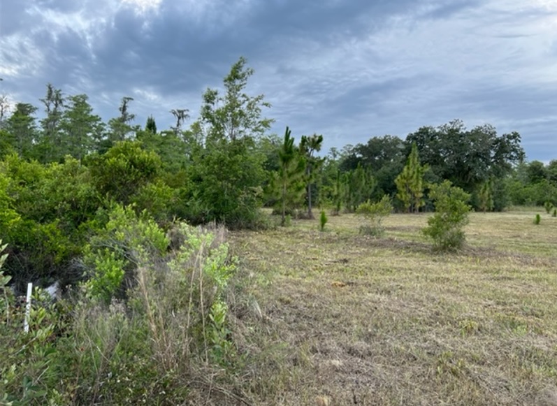 Suburban Estates Holopaw Florida Recreational 4x4 jeep Land for sale