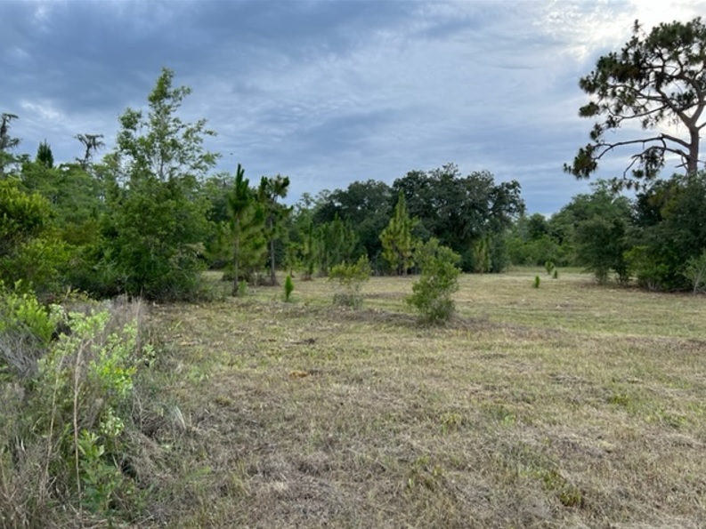 Suburban Estates Holopaw Florida Recreational 4x4 jeep Land for sale