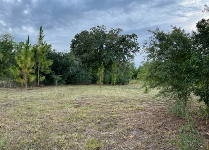 Suburban Estates Holopaw Florida Recreational 4x4 jeep Land for sale