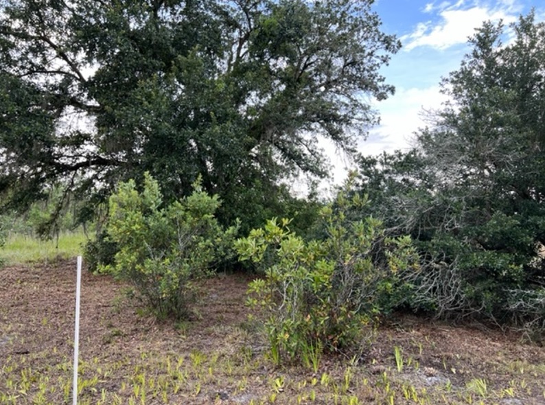 Suburban Estates Holopaw Florida Recreational 4x4 jeep Land for sale