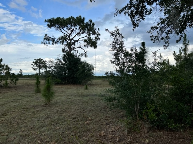 Suburban Estates Holopaw Florida Recreational 4x4 jeep Land for sale