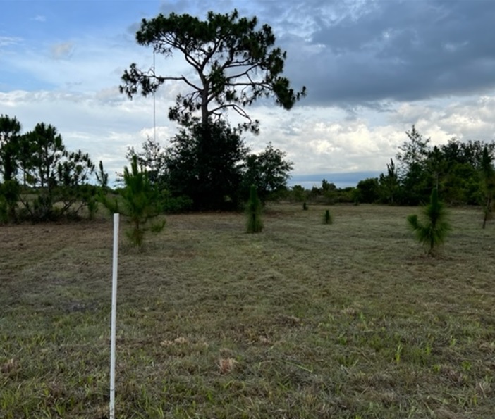 Suburban Estates Holopaw Florida Recreational 4x4 jeep Land for sale