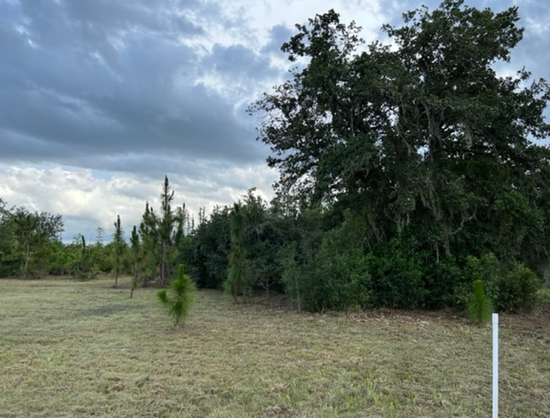 Suburban Estates Holopaw Florida Recreational 4x4 jeep Land for sale