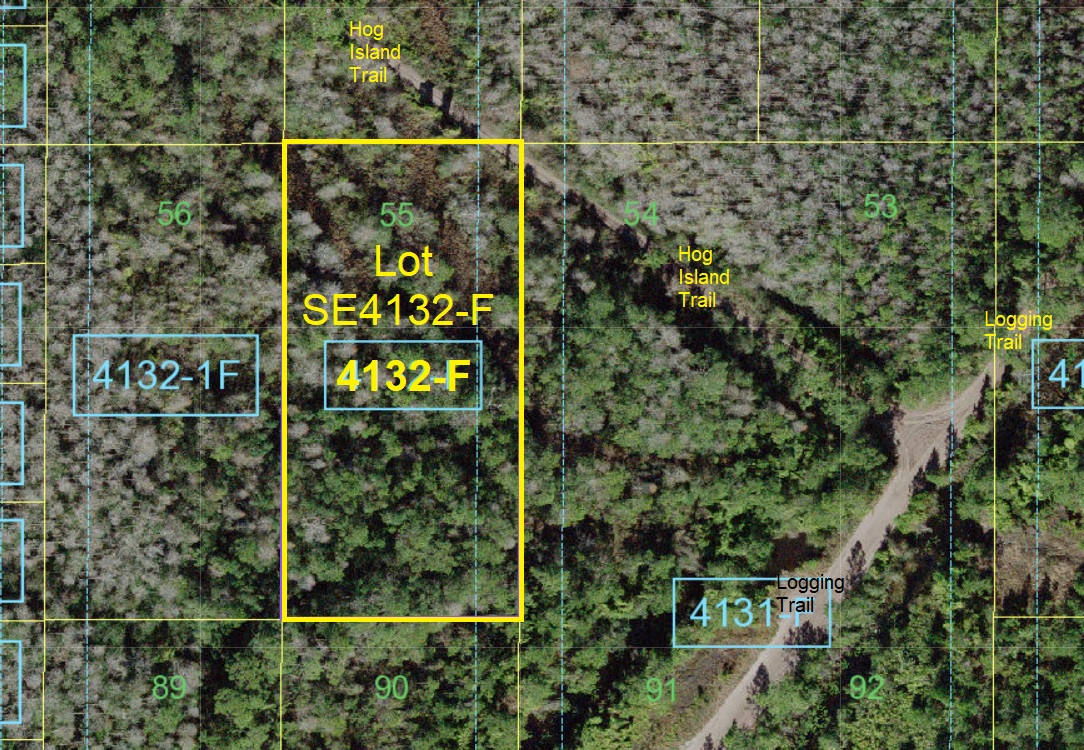 Suburban Estates Holopaw Florida Recreational Lots For Sale atv Land 4x4 off roading