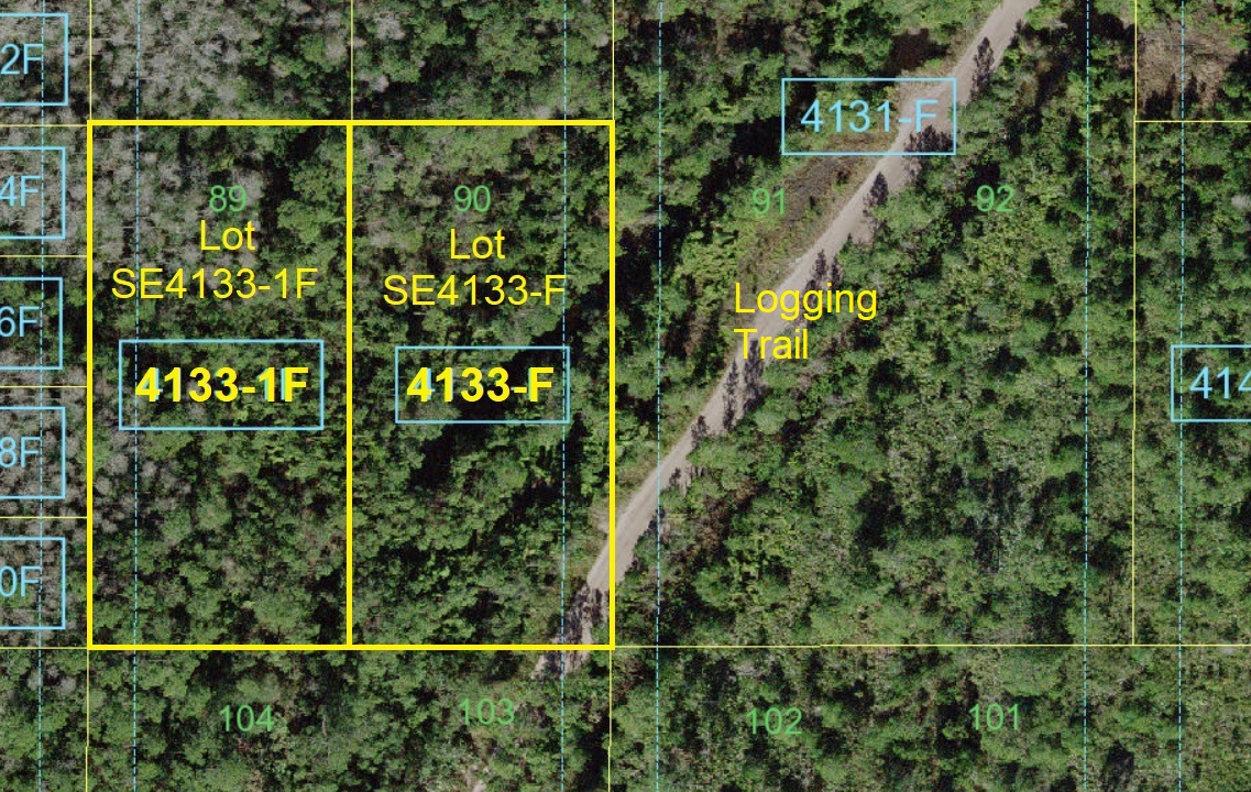 Suburban Estates Holopaw Florida Recreational Lots For Sale atv Land 4x4 off roading