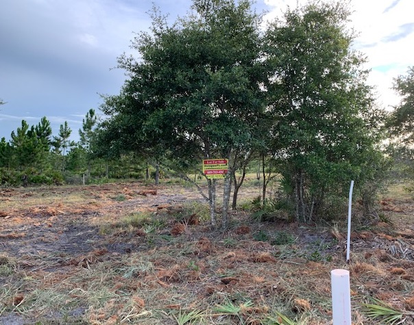 Holopaw Florida Recreational Land Suburban Estates Camp Lot For Sale