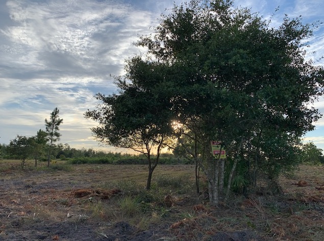 Holopaw Florida Recreational Land Suburban Estates Camp Lot For Sale