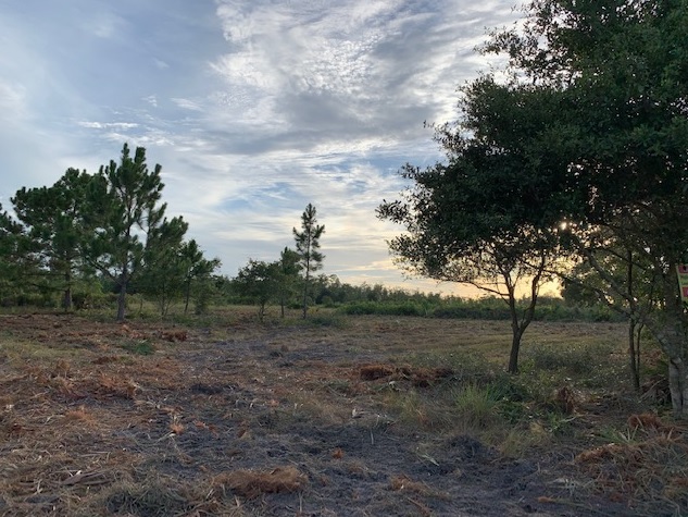 Holopaw Florida Recreational Land Suburban Estates Camp Lot For Sale