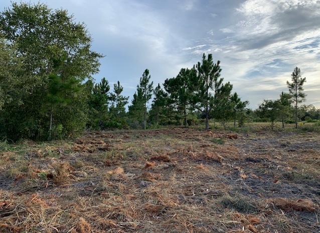 Holopaw Florida Recreational Land Suburban Estates Camp Lot For Sale