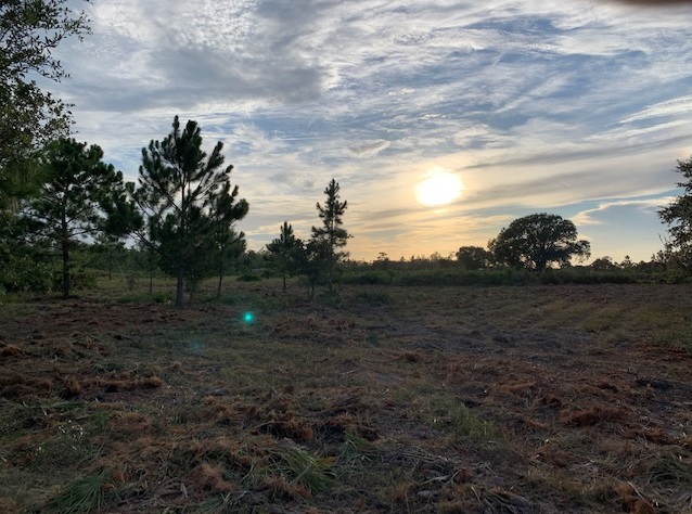 Holopaw Florida Recreational Land Suburban Estates Camp Lot For Sale