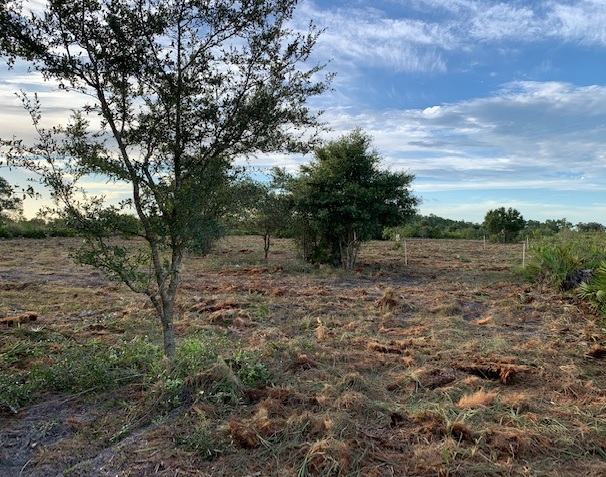 Holopaw Florida Recreational Land Suburban Estates Camp Lot For Sale