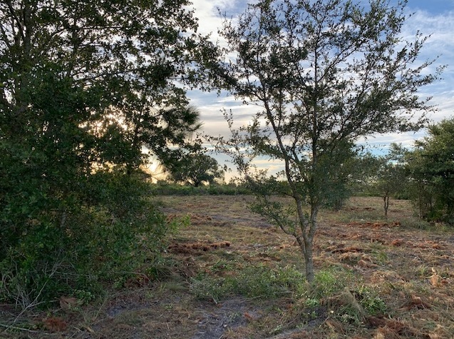 Holopaw Florida Recreational Land Suburban Estates Camp Lot For Sale