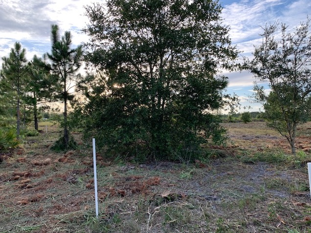 Holopaw Florida Recreational Land Suburban Estates Camp Lot For Sale